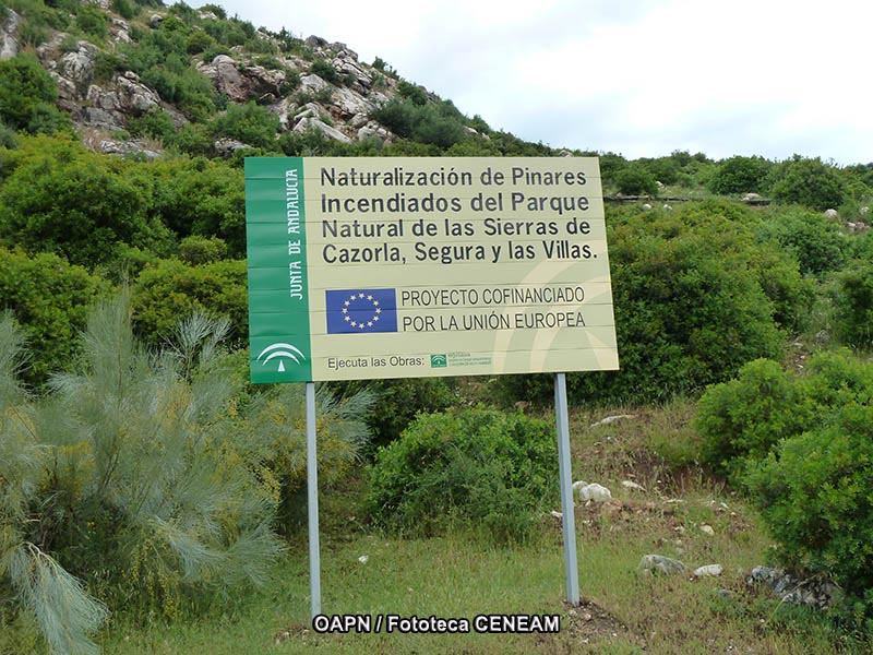 Sierras de Cazorla, Segura y las Villas