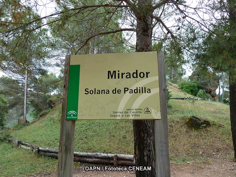 Sierras de Cazorla, Segura y las Villas