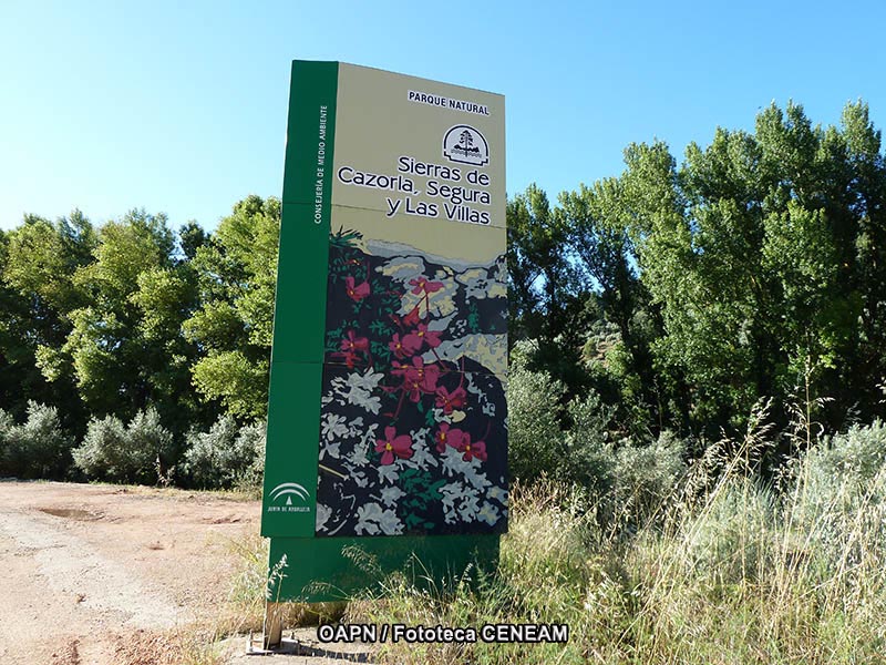 Sierras de Cazorla, Segura y las Villas