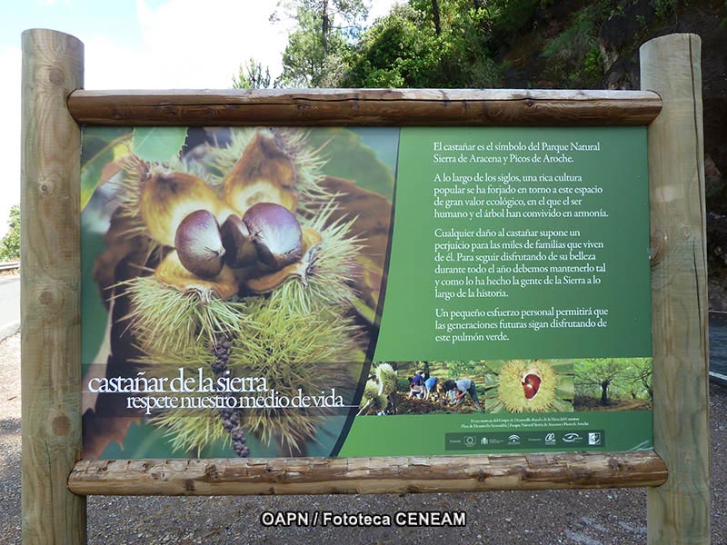 Dehesas de Sierra Morena