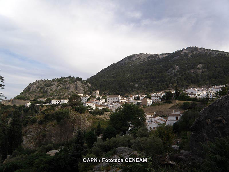 Sierra de Grazalema