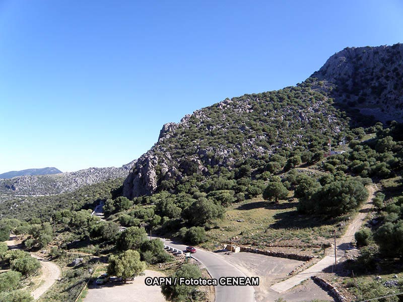 Sierra de Grazalema