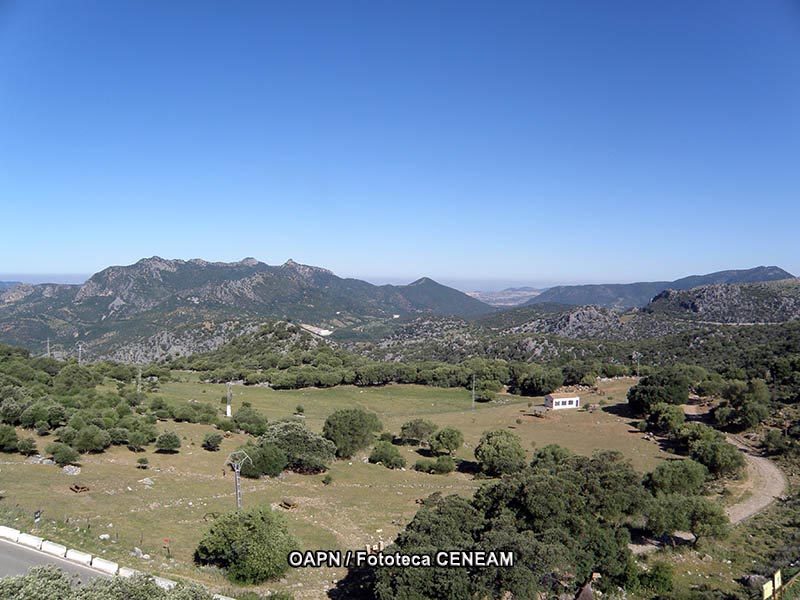 Sierra de Grazalema