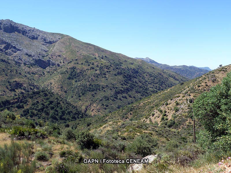 Sierra de Grazalema