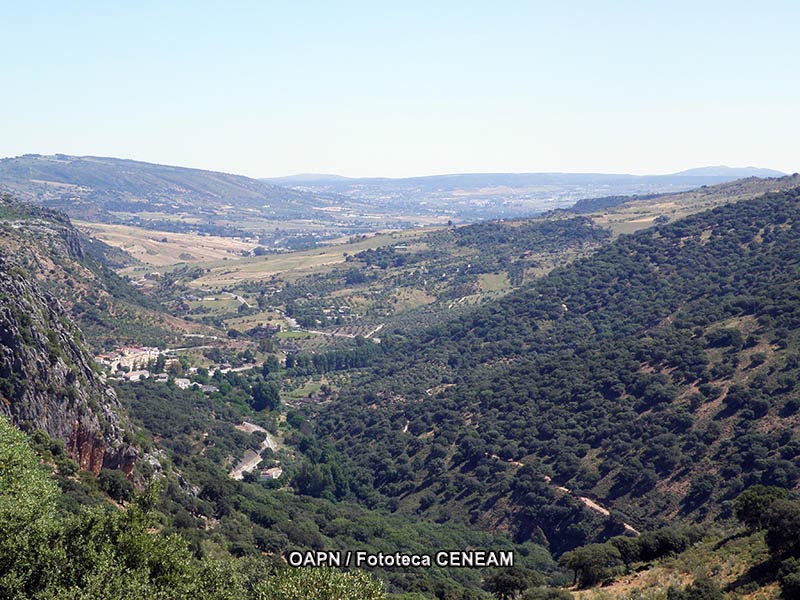 Sierra de Grazalema