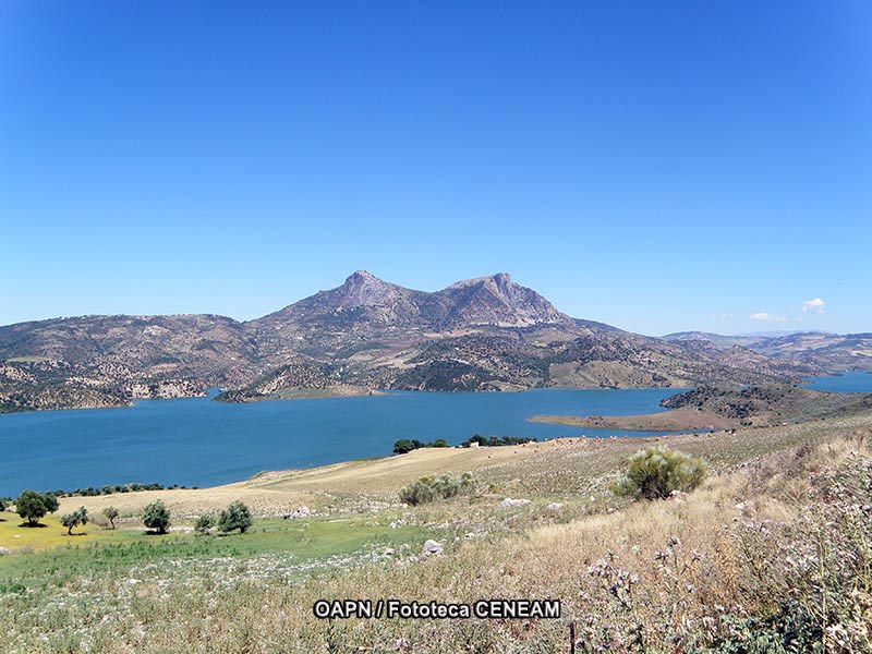 Sierra de Grazalema