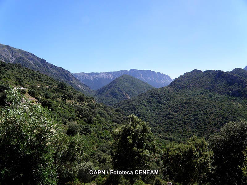 Sierra de Grazalema