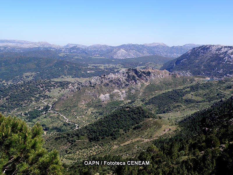 Sierra de Grazalema