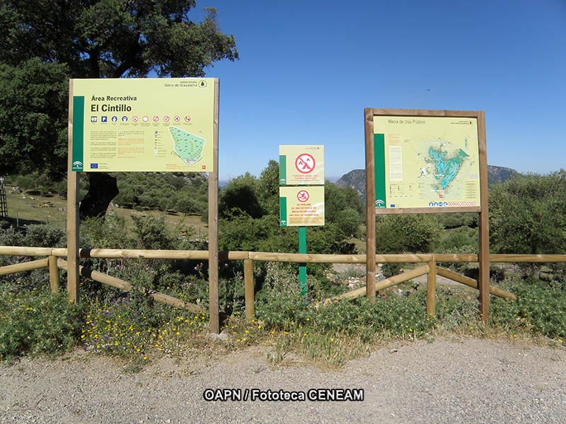 Sierra de Grazalema