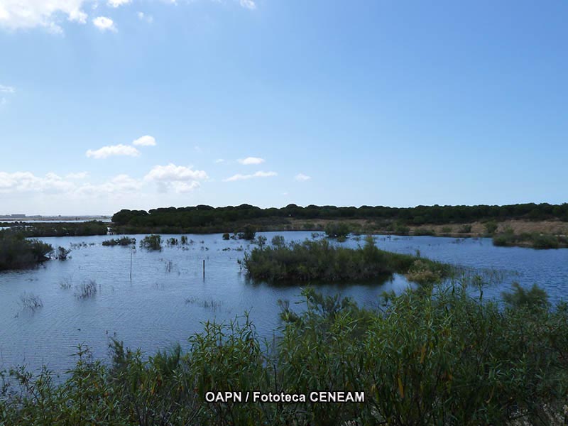 Marismas del Odiel