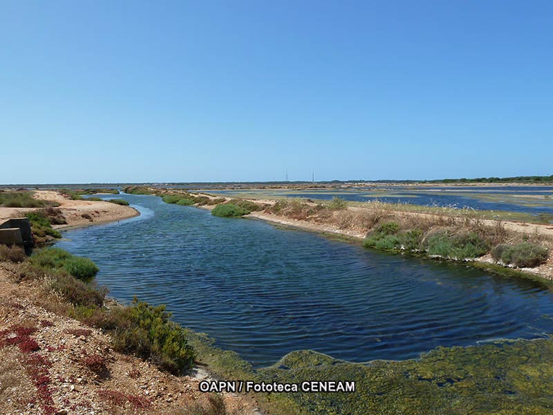 Marismas del Odiel