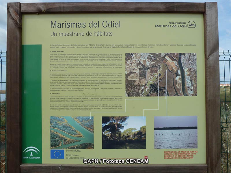 Marismas del Odiel