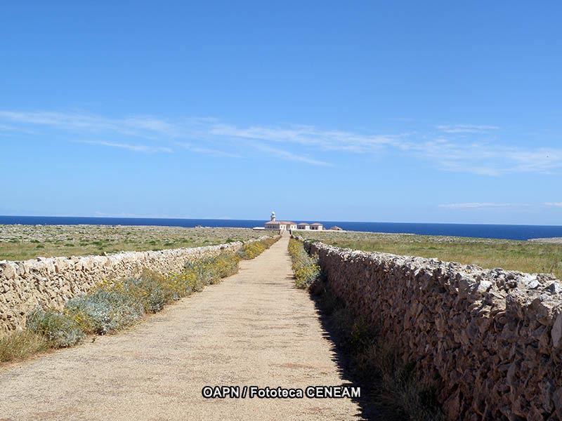 La Mancha Humeda