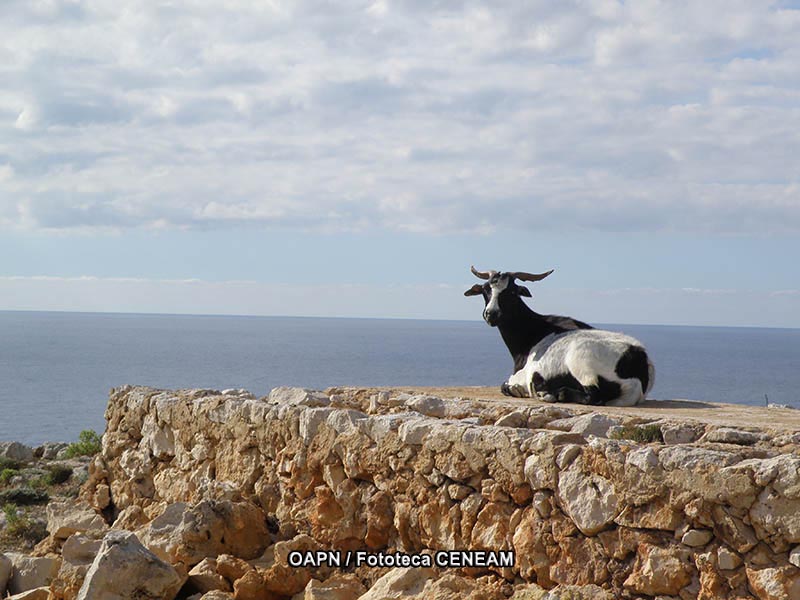 Menorca