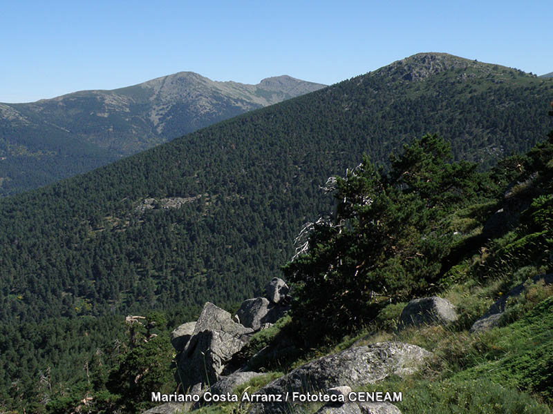 Calblanque, Monte de las Cenizas y Peña del Aguila