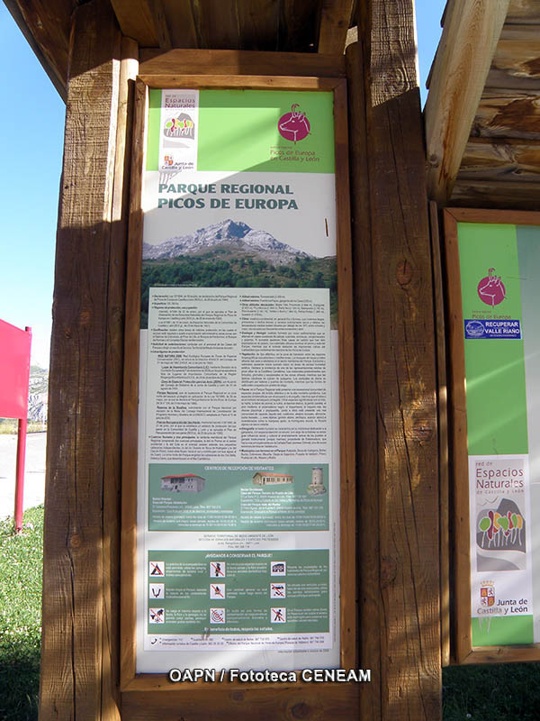 Picos de Europa