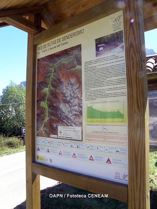 Picos de Europa