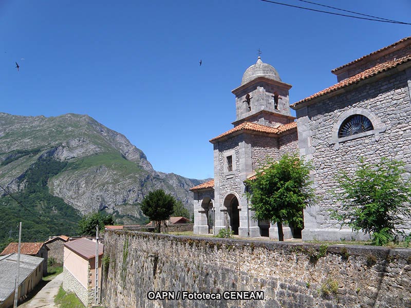 Picos de Europa