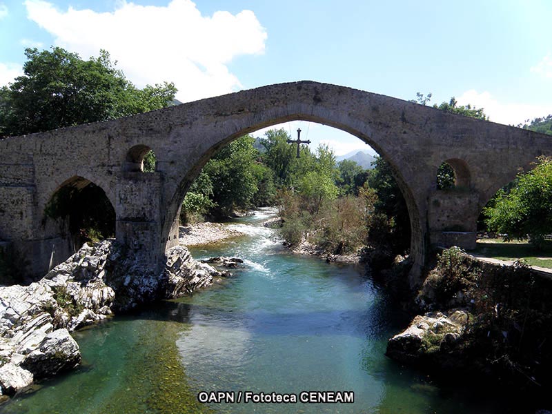 Picos de Europa