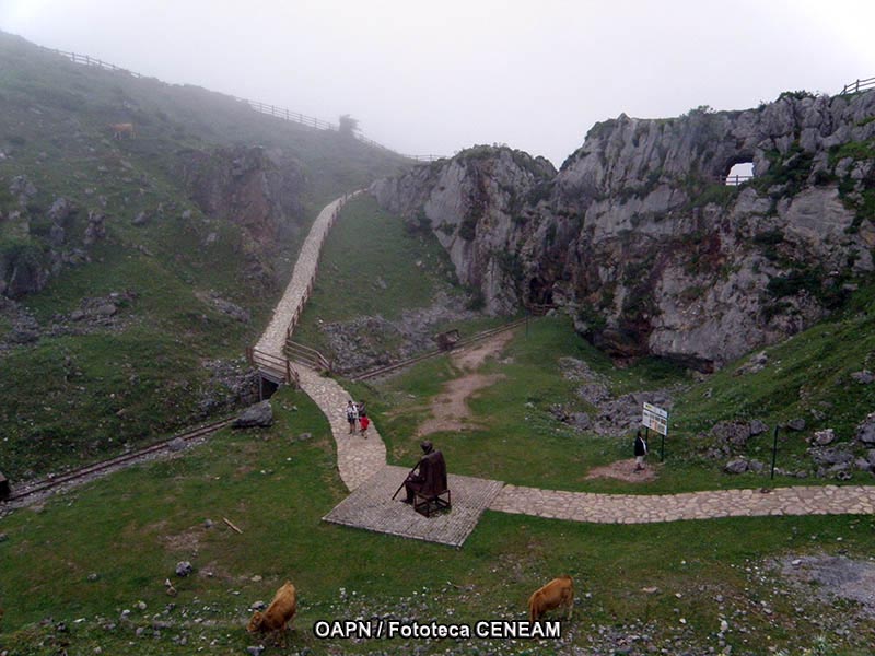 Picos de Europa