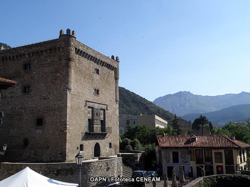 Picos de Europa