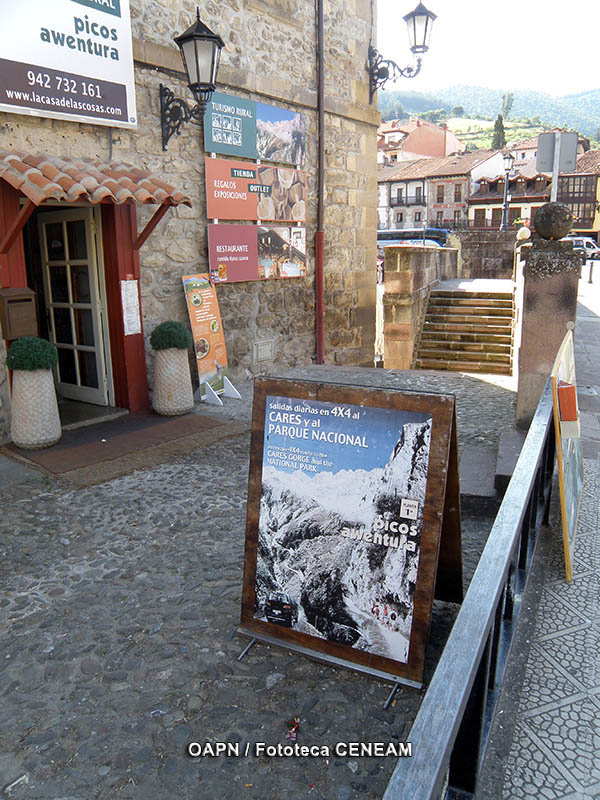 Picos de Europa