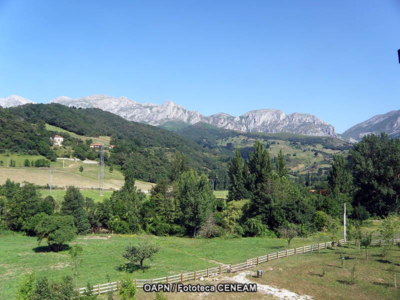 Picos de Europa