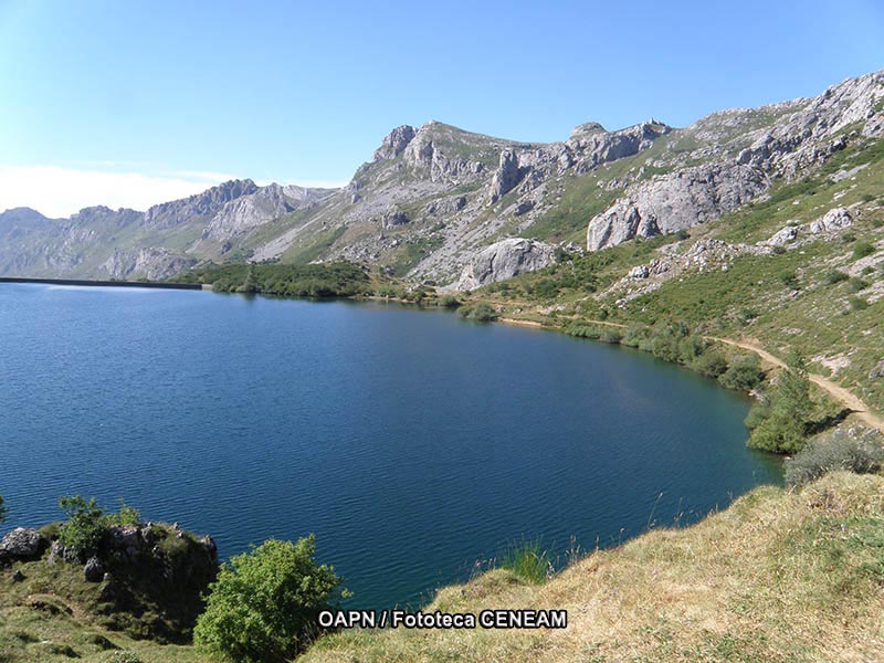 Dehesas de Sierra Morena