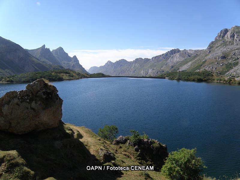 Dehesas de Sierra Morena