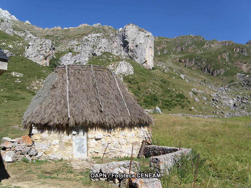 Dehesas de Sierra Morena