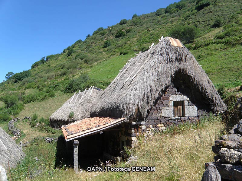 Dehesas de Sierra Morena