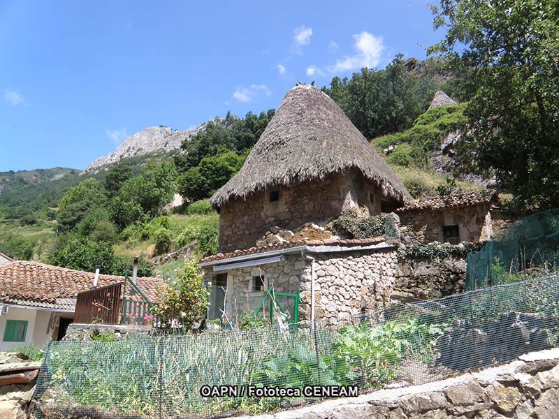 Dehesas de Sierra Morena