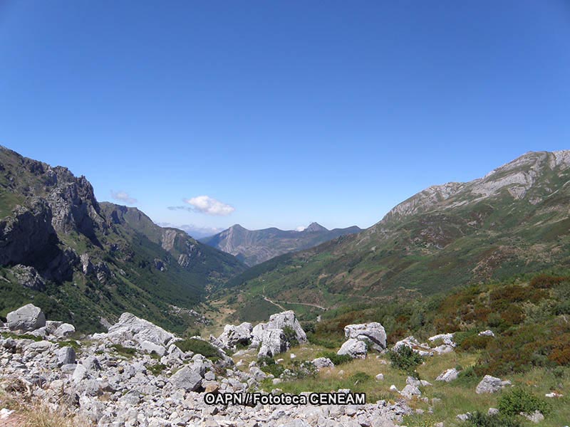 Dehesas de Sierra Morena