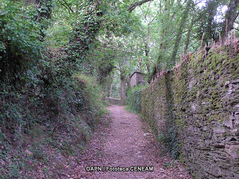 Terras do Miño