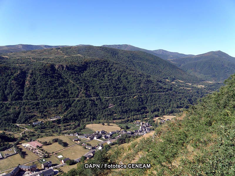 Picos de Europa