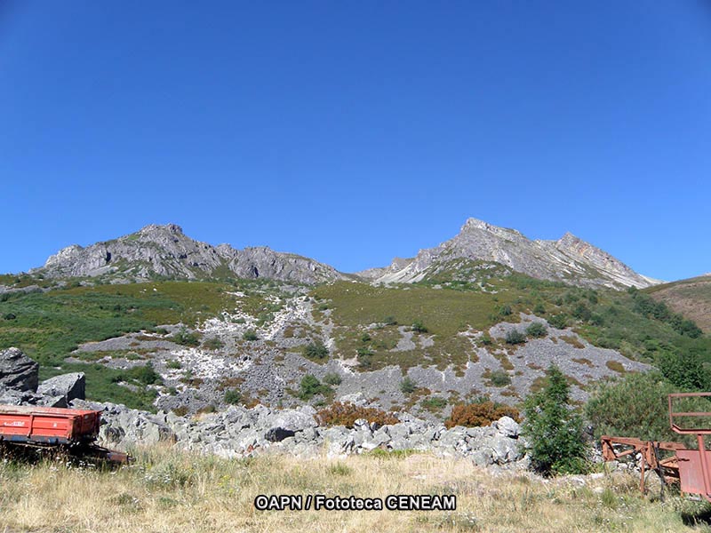 Picos de Europa