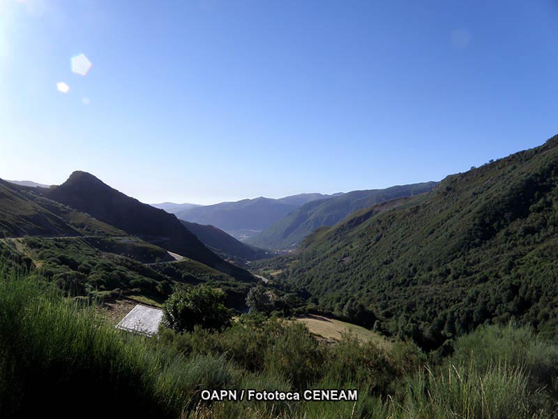 Picos de Europa