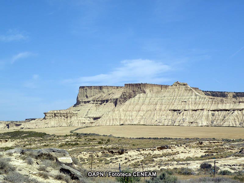 Sierra de las Nieves y su entorno