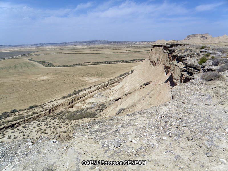 Bardenas Reales