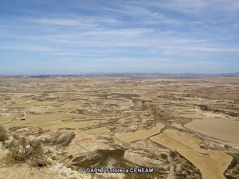 Bardenas Reales