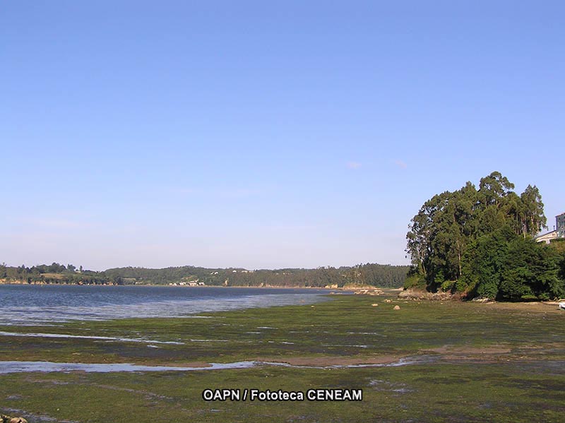 Rio Eo, Osco y Terras de Buron