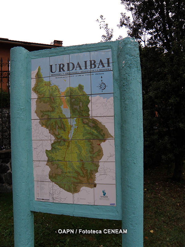 Urdaibai