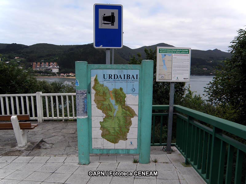 Urdaibai