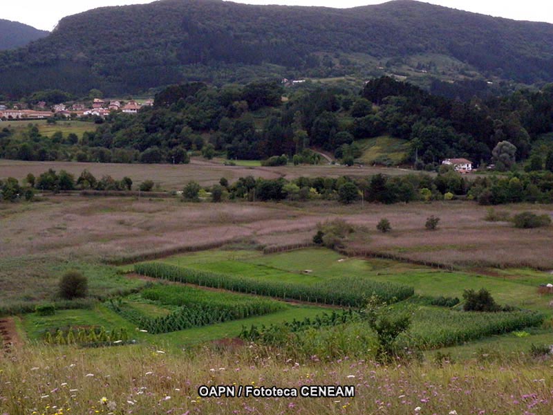 El Alto Bernesga