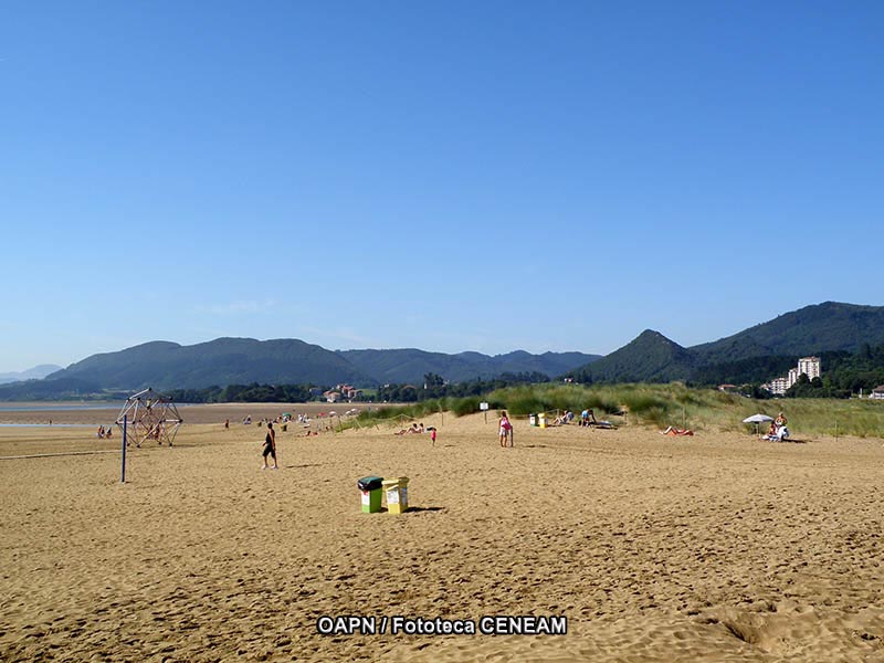 Urdaibai