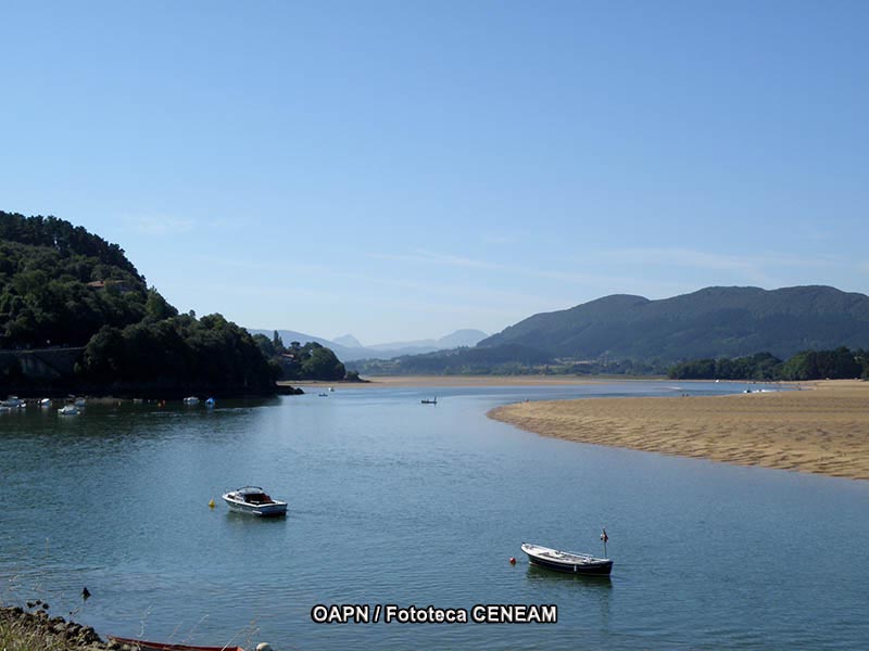 Urdaibai