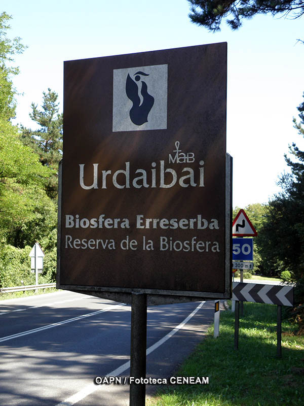 Urdaibai