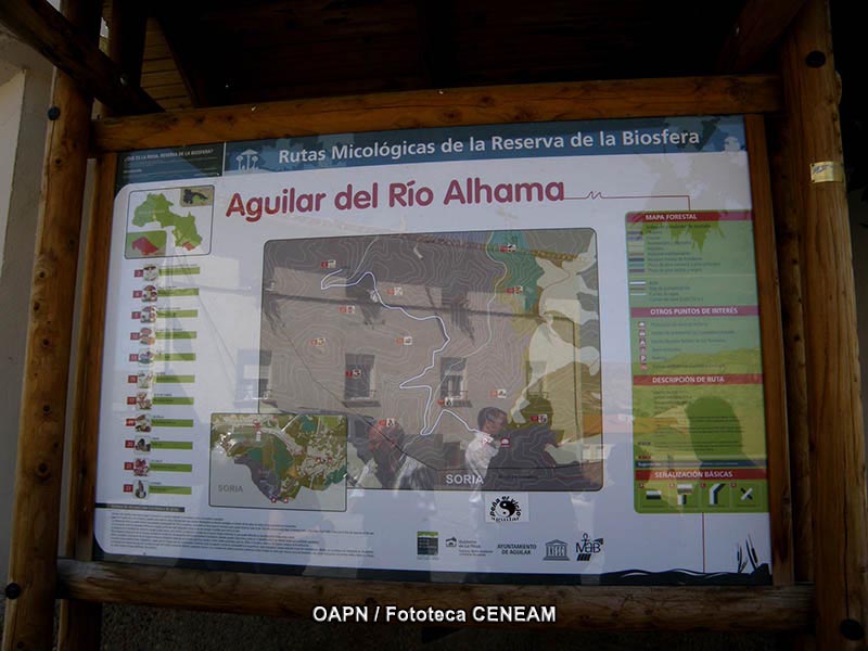 Sierras de Cazorla, Segura y Las Villas