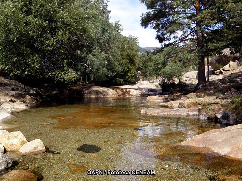 Cuenca Alta del Manzanares