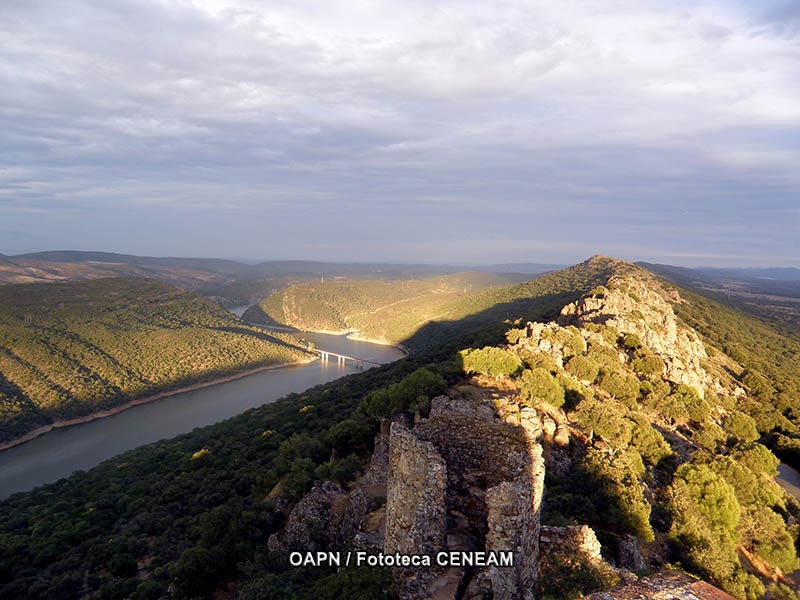 La Mancha Humeda